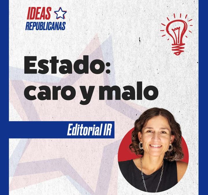 Estado: caro y malo